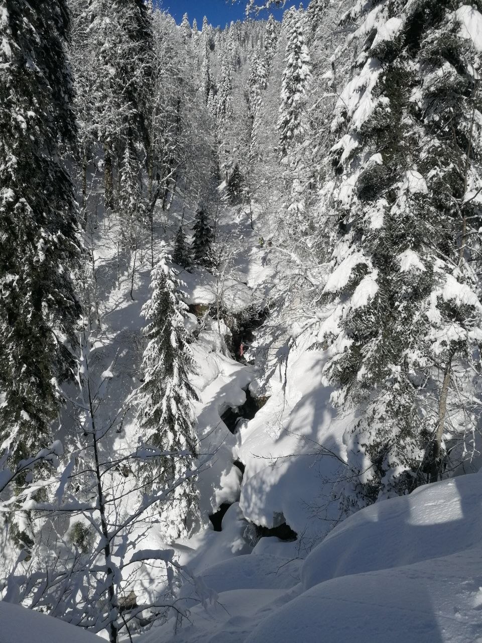 Отзыв Даниил