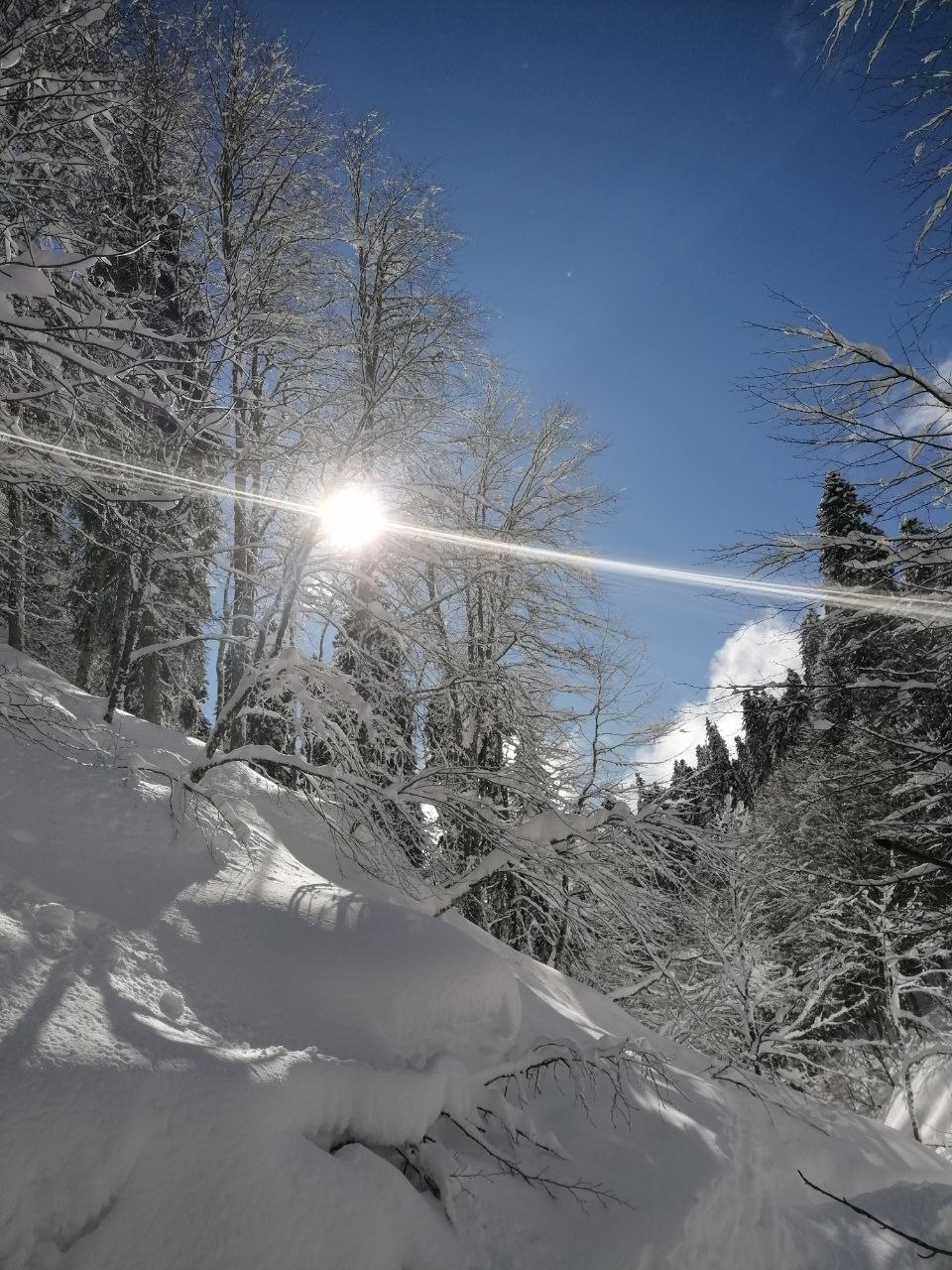 Отзыв Даниил